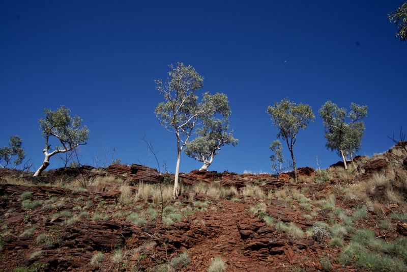 Illustration for article titled AWOL Around Australia... The Pilbara. Part 1